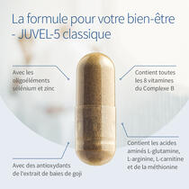 JUVEL-5 classique image d’aperçu 3