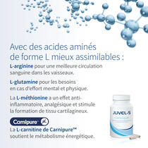 JUVEL-5 classique image d’aperçu 4