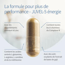 JUVEL-5 nergie image d’aperçu 3