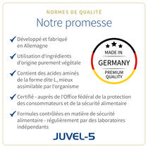 JUVEL-5 nergie image d’aperçu 5