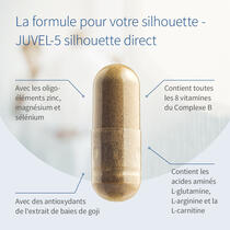 JUVEL-5 silhouette direct image d’aperçu 3